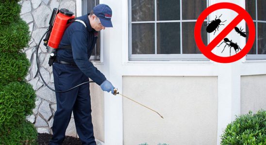 Mersin Böcek İlaçlama böcek ilaçlama ve haşere kontrolü — ilaclama-tr.com
